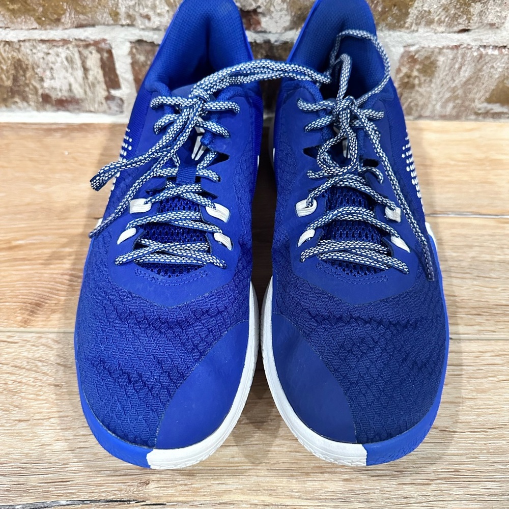 Nike Mamba Fury TB Size 8.5 Shoe Deep Royal Blue Kobe Bryant Great Condition